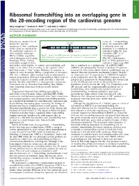 Ribosomal Frameshifting Into an Overlapping Gene in the 2B