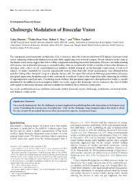 Cholinergic Modulation of Binocular Vision