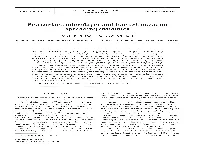 Sea Surface Microlayer and Bacterioneuston Spreading Dynamics