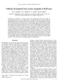 Follicular Development from Ovarian Xenografts in SCID Mice R