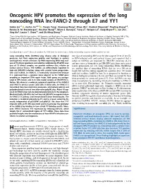 Oncogenic HPV Promotes the Expression of the Long Noncoding RNA Lnc-FANCI-2 Through E7 and YY1
