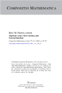 Algebraic Cycles, Chow Varieties, and Lawson Homology Compositio Mathematica, Tome 77, No 1 (1991), P