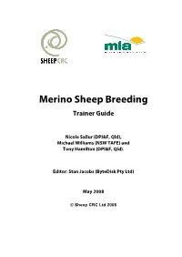 Merino Sheep Breeding Trainer Guide