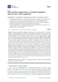 Old and New Approaches to Animal Cognition: There Is Not “One Cognition”