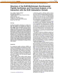 Structure of the Entb Multidomain Nonribosomal Peptide Synthetase and Functional Analysis of Its Interaction with the Ente Adenylation Domain