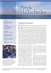 Techeiles Revisited