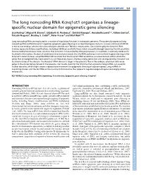 The Long Noncoding RNA Kcnq1ot1 Organises a Lineage- Specific Nuclear Domain for Epigenetic Gene Silencing Lisa Redrup1, Miguel R