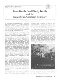 Trace Fossils