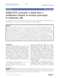 BORIS/CTCFL Promotes a Switch from a Proliferative Towards an Invasive