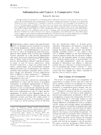 Inflammation and Cancer: a Comparative View