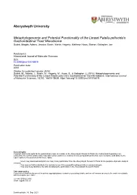Metaphylogenomic and Potential Functionality of the Limpet