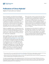 Pollination of Citrus Hybrids1 Stephen H