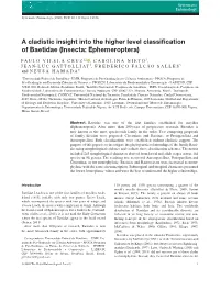 A Cladistic Insight Into the Higher Level Classification Of