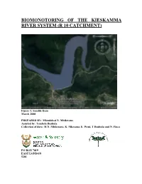 Biomonitoring of the Keiskamma River System (R10 Catchment)