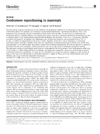 Centromere Repositioning in Mammals