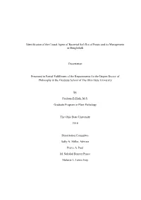 Identification of the Causal Agent of Bacterial Soft Rot of Potato and Its Management in Bangladesh Dissertation Presented in Pa