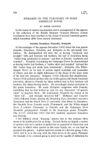 Remarks on the Taxonomy of Some American Doves