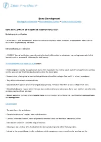 Bone Development Histology Fundamentals > Musculoskeletal System > Musculoskeletal System