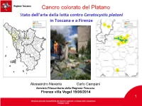 Diffusione Del Cancro Colorato Del Platano