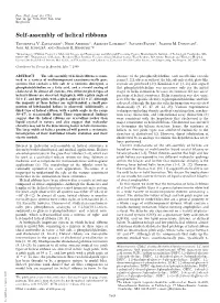 Self-Assembly of Helical Ribbons