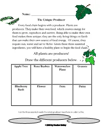 Plants Are Producers! Draw the Different Producers Below
