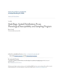 Stink Bugs: Spatial Distribution, Pecan Phenological Susceptibility and Sampling Program Brian Cowell University of Arkansas, Fayetteville