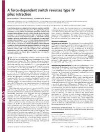 A Force-Dependent Switch Reverses Type IV Pilus Retraction