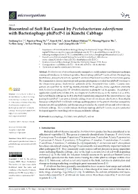 Biocontrol of Soft Rot Caused by Pectobacterium Odoriferum with Bacteriophage Phipccp-1 in Kimchi Cabbage