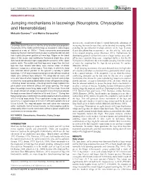 Jumping Mechanisms in Lacewings (Neuroptera, Chrysopidae And
