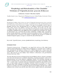 Morphology and Histochemistry of the Glandular Trichomes of Trigonella Foenum- Graecum (Fabaceae)