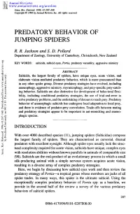 Predatory Behavior of Jumping Spiders