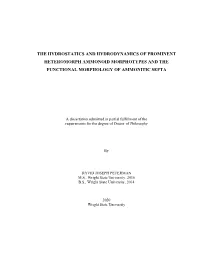 The Hydrostatics and Hydrodynamics of Prominent Heteromorph Ammonoid Morphotypes and the Functional Morphology of Ammonitic Septa