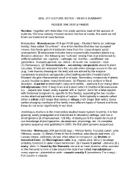 Biol 317 Lecture Notes – Week 5 Summary Rosids: Malvids