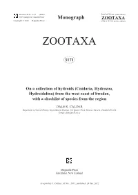 (Cnidaria, Hydrozoa, Hydroidolina) from the West Coast of Sweden, with a Checklist of Species from the Region