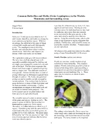 Common Butterflies and Moths (Order Lepidoptera) in the Wichita Mountains and Surrounding Areas