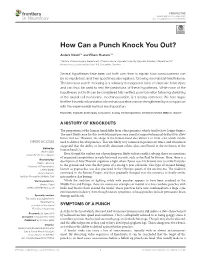 How Can a Punch Knock You Out?