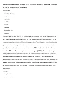 Molecular Mechanisms Involved in the Protective Actions of Selective Estrogen Receptor Modulators in Brain Cells