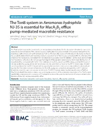 The Tonb System in Aeromonas Hydrophila NJ-35 Is Essential for Maca2b2 Efflux Pump-Mediated Macrolide Resistance