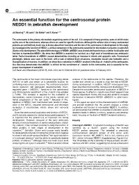 An Essential Function for the Centrosomal Protein NEDD1 in Zebraﬁsh Development