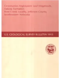Djvu Document
