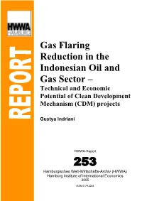 Gas Flaring Reduction in the Indonesian Oil and Gas Sector – Technical and Economic Potential of Clean Development Mechanism (CDM) Projects