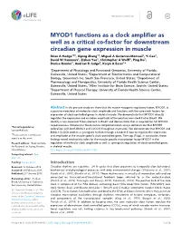 MYOD1 Functions As a Clock Amplifier As Well As a Critical Co-Factor For