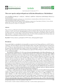 Three New Species and Growth Patterns in Hechtia (Bromeliaceae: Hechtioideae)
