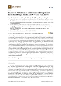 Flashover Performance and Process of Suspension Insulator Strings Artiﬁcially Covered with Snow