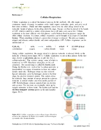 Cellular Respiration +