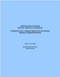 Exploring Cancer Through Genomic Sequence Comparisons