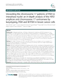 An In-Depth Analysis of the HER2 Amplicon and Chromosome 17