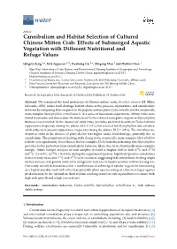 Cannibalism and Habitat Selection of Cultured Chinese Mitten Crab: Effects of Submerged Aquatic Vegetation with Different Nutritional and Refuge Values