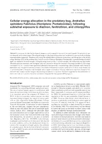 Cellular Energy Allocation in the Predatory Bug, Andrallus Spinidens Fabricius
