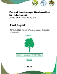 Final Report